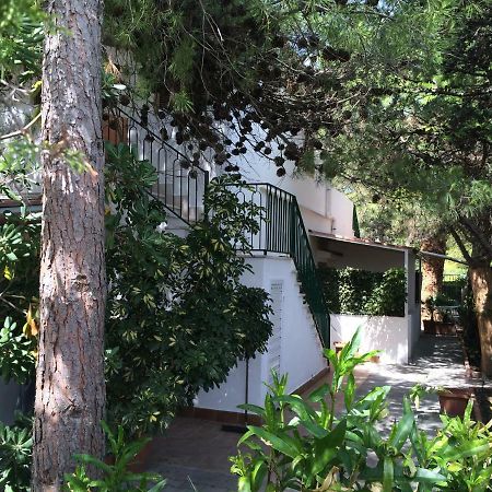 Villa Irene فيستَ المظهر الخارجي الصورة