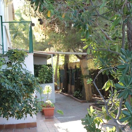 Villa Irene فيستَ المظهر الخارجي الصورة