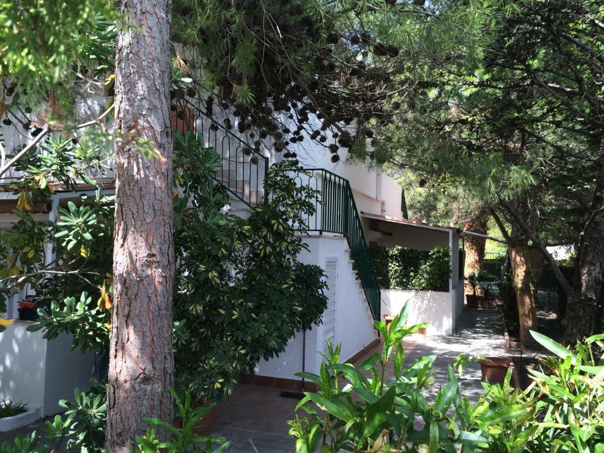Villa Irene فيستَ المظهر الخارجي الصورة
