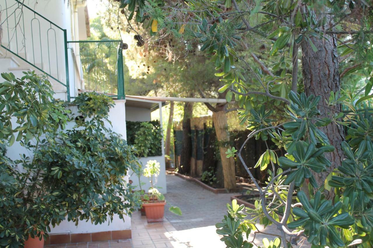 Villa Irene فيستَ المظهر الخارجي الصورة